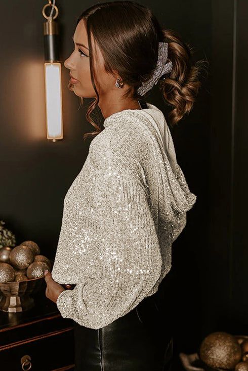 Sequin Hooded Mock Neck Relaxed Fit Long Sleeve Lined Pullover Top